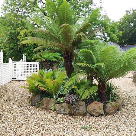 Pleasant Streams Barn Bed & Breakfast St Austell Bagian luar foto