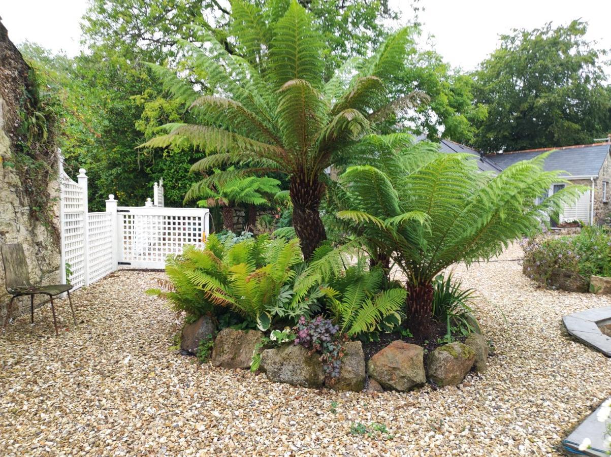 Pleasant Streams Barn Bed & Breakfast St Austell Bagian luar foto